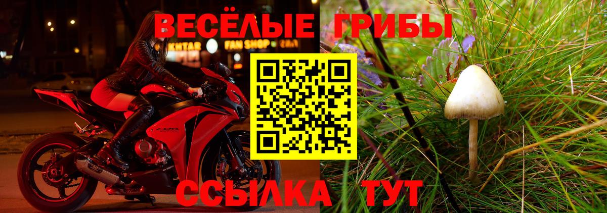продажа наркотиков  Галлюциногенные грибы MAGIC MUSHROOMS  Вход с VPN  Псилоцибиновые грибы GOLDEN TEACHER  Ухта 